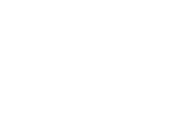 Logo blanc FO Air France